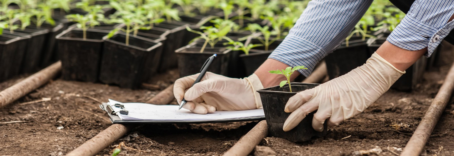 agronomic-approach-01